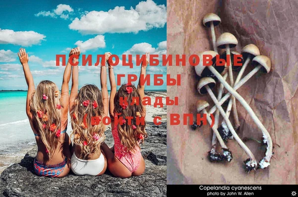гашишное масло Алексеевка