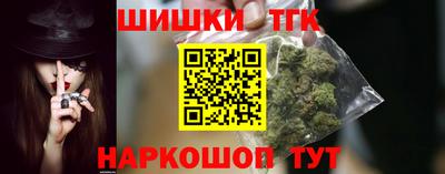 гашик Бердск