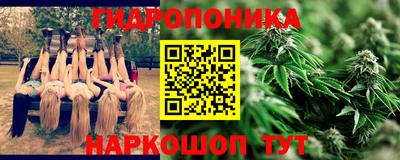 гашик Бердск
