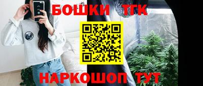 гашик Бердск