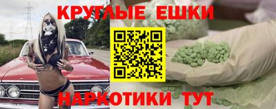 гашик Бердск