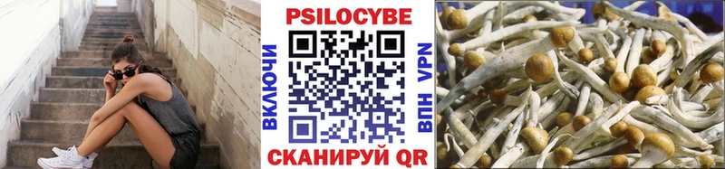 Галлюциногенные грибы GOLDEN TEACHER  Большой Камень 
