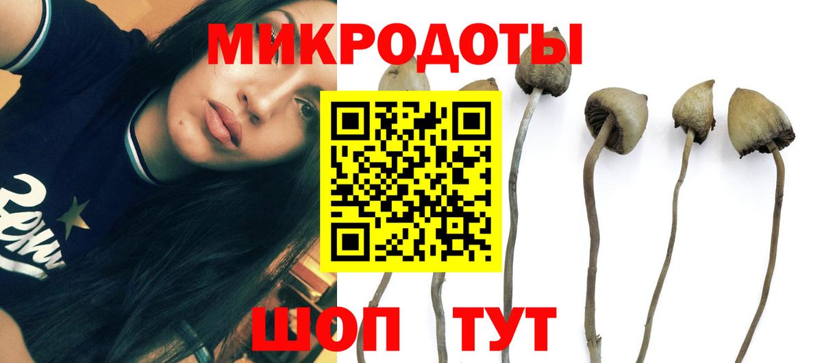Большой Камень  Галлюциногенные грибы Psilocybe  Псилоцибиновые грибы Psilocybine cubensis  Вход с VPN 